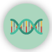 icon of dna strain